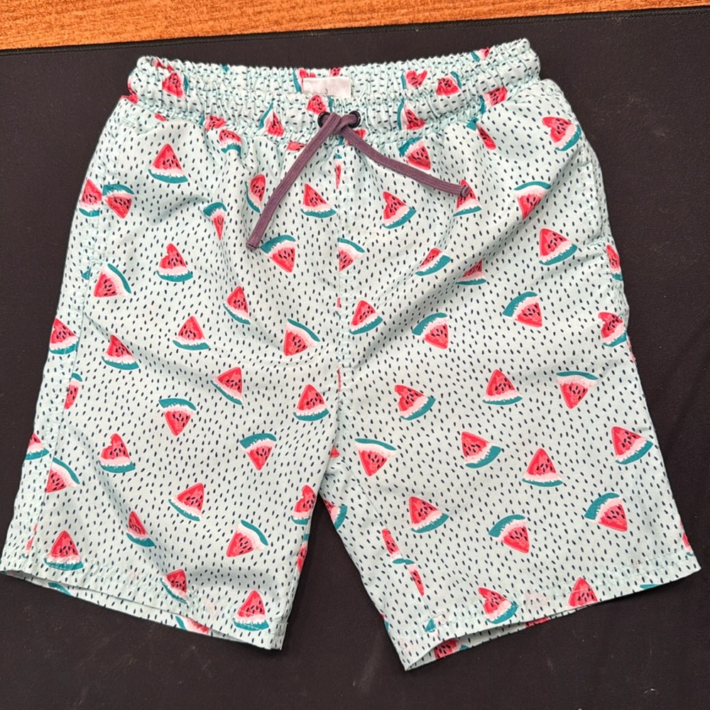EGG - Toddler Boy Swim Trunks Shorts - Watermelons - Size: 3T